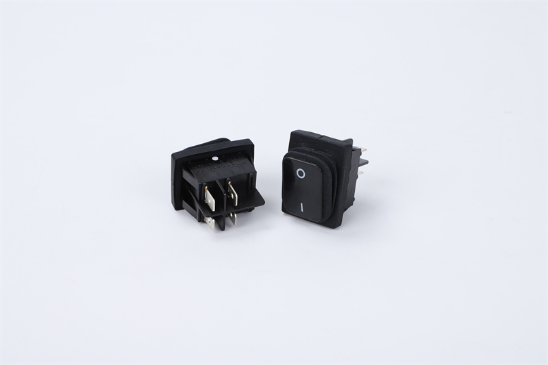 R210-P5L-BR防水開關(guān)