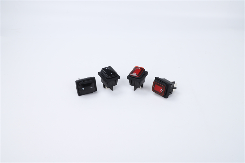 R210-P5L-BR防水開關