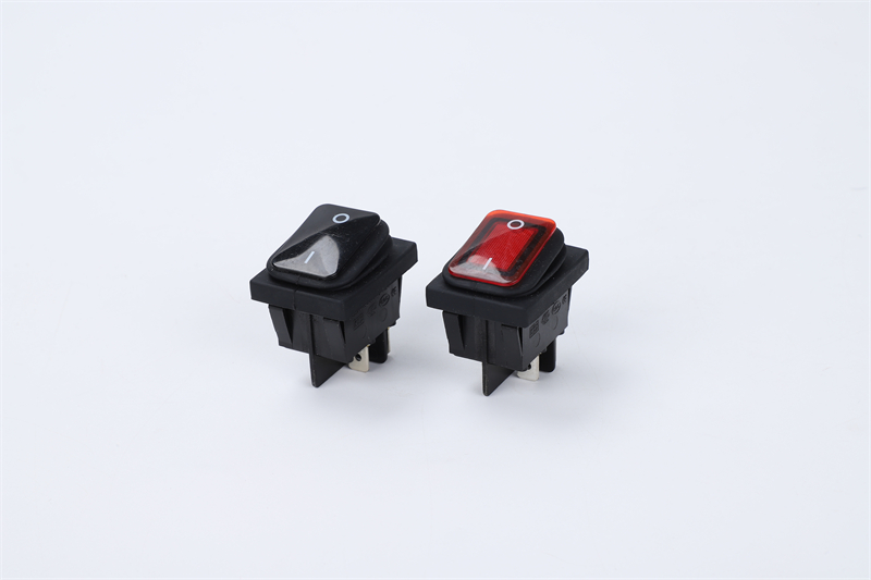 R210-P5L-BR防水開關