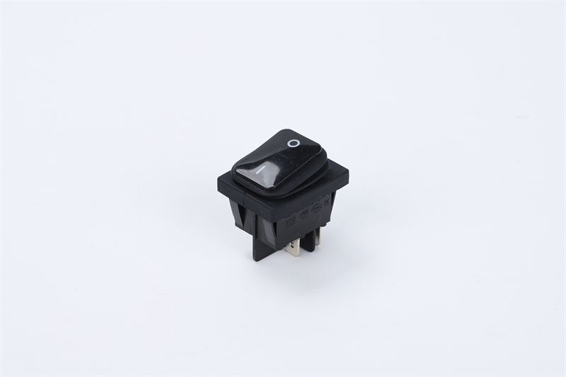 R210-P5L-BR防水開關